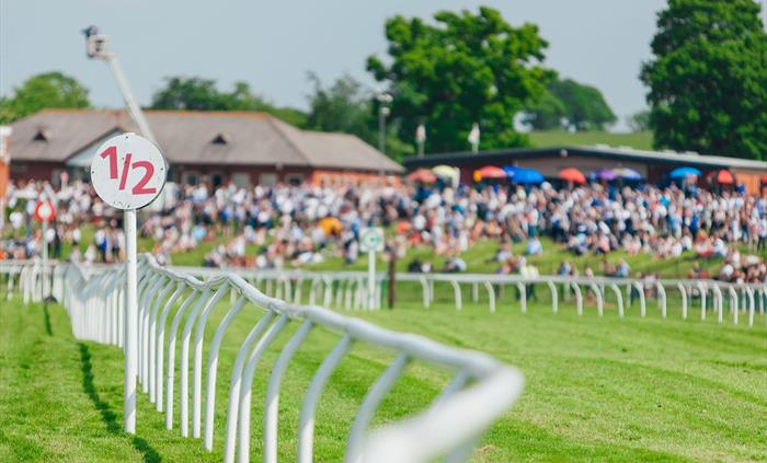 The perfect spot to watch the racing